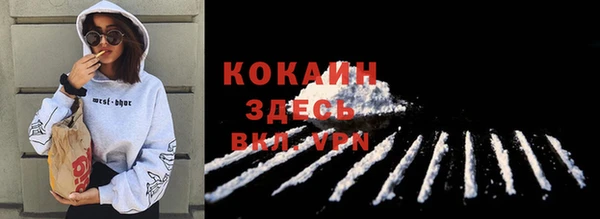 стафф Аркадак