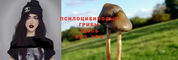 герыч Надым
