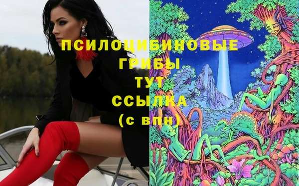 мет Арсеньев