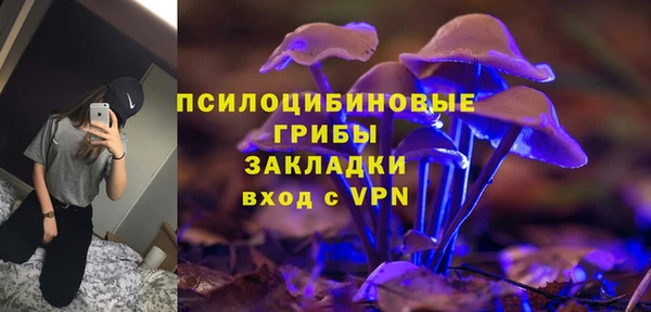 apvp Алзамай