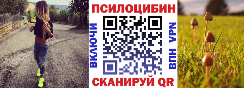 Псилоцибиновые грибы MAGIC MUSHROOMS  Сусуман 